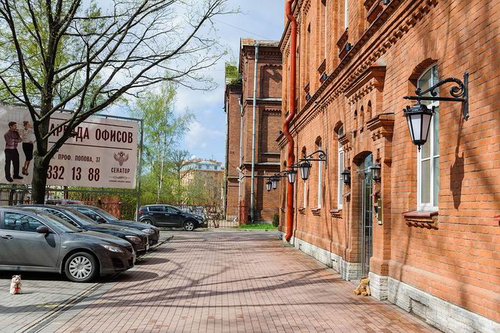 «Небо» позитива и медведей